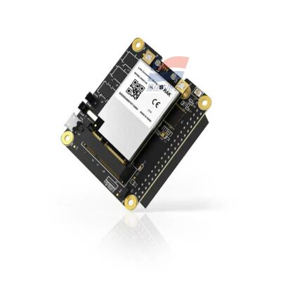 YJJ RAK5146 PiHAT Concentrator Module phù hợp với LoRaWAN để thu thập dữ liệu cảm biến