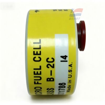 YJJ C06689-B2C lớp B-2C 0-10ppm Trace Oxy Sensor cho sản xuất điện tử bán dẫn